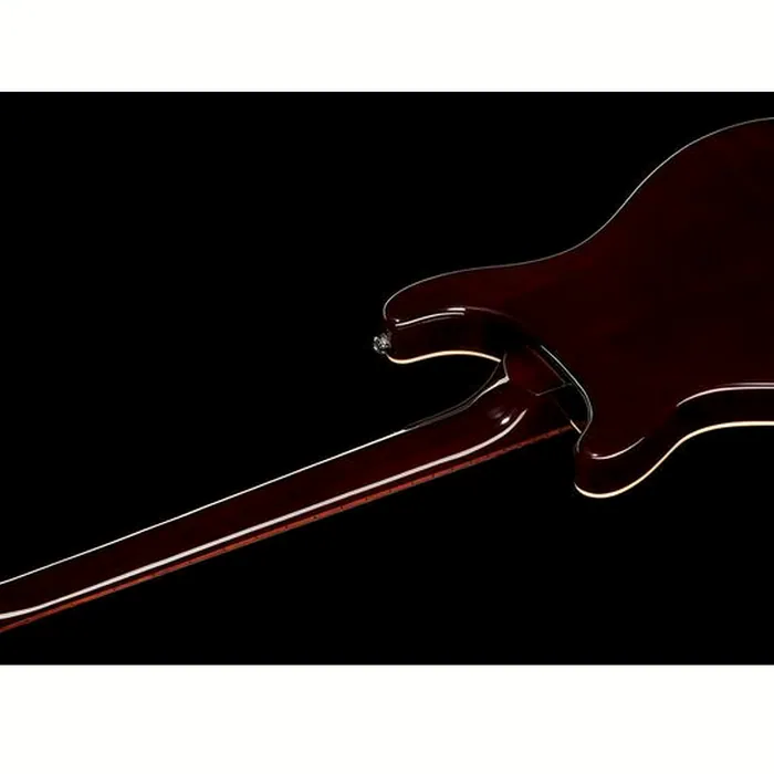 Harley Benton CST-24HB TOL Tob. Flame w/Bag – photo 8