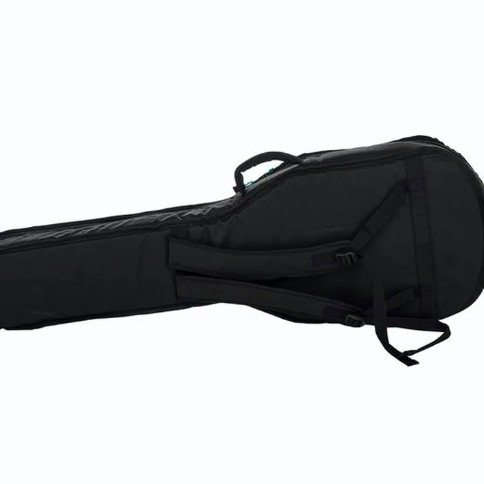 Harley Benton CST-24HB Tortoise Flame w/Bag – photo 12