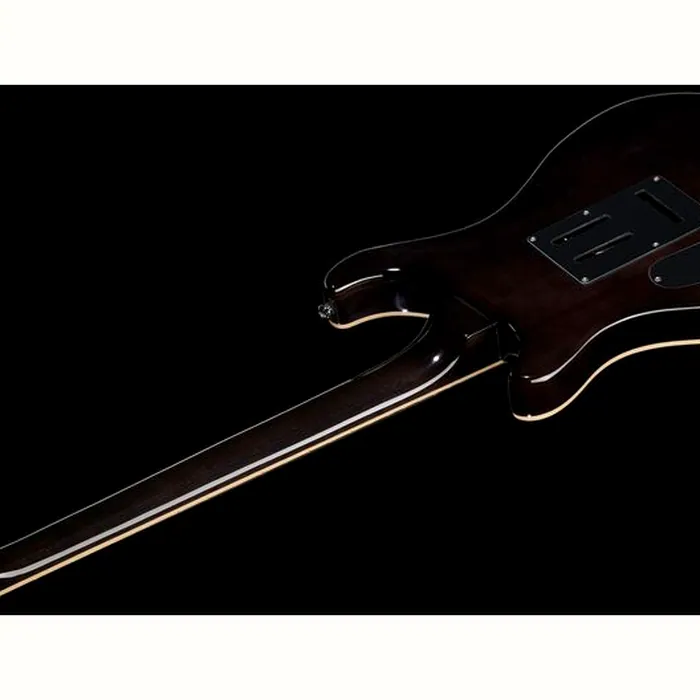 Harley Benton CST-24T Black Flame Bundle – photo 10