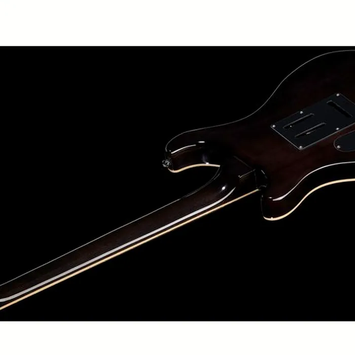 Harley Benton CST-24T Black Flame w/Bag – photo 6