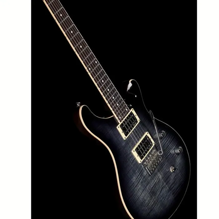 Harley Benton CST-24T Black Flame w/Bag – photo 9