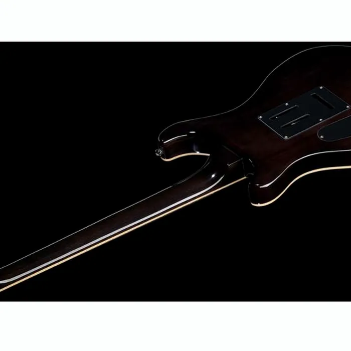 Harley Benton CST-24T Black Flame w/Case – photo 6