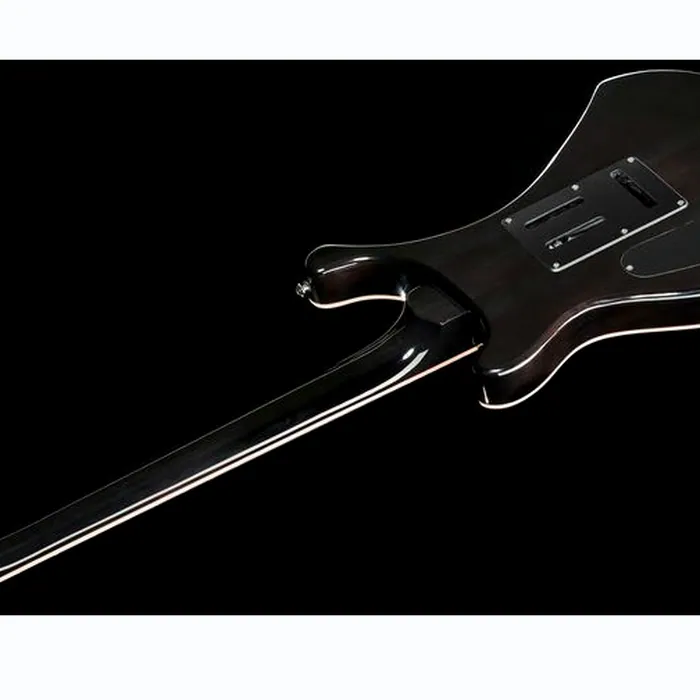 Harley Benton CST-24T P90 Black Flame Bundle – photo 10