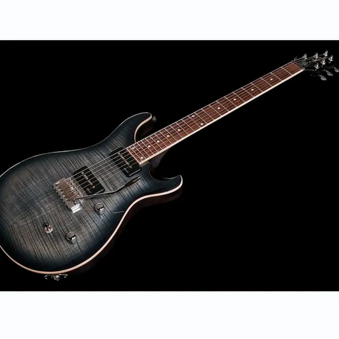 Harley Benton CST-24T P90 Black Flame Bundle – photo 11