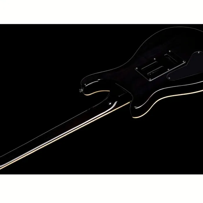 Harley Benton CST-24T P90 Black Flame w/Case – photo 10