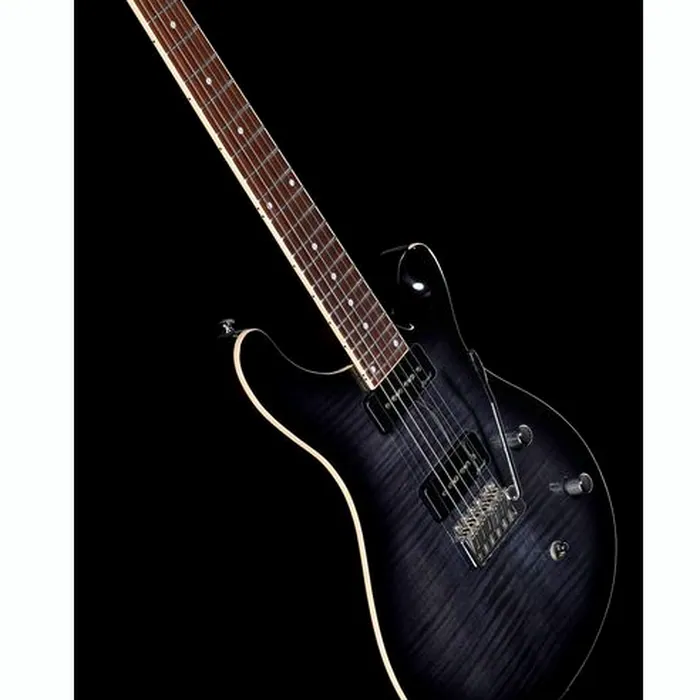 Harley Benton CST-24T P90 Black Flame w/Case – photo 12