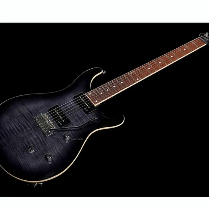Harley Benton CST-24T P90 Black Flame w/Case – photo 11