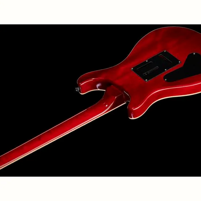 Harley Benton CST-24T Paradise Flame w/Bag – photo 9