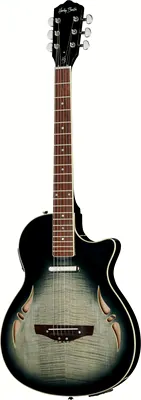 Harley Benton Custom Line Nashville-Steel