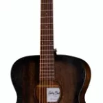 Guitare acoustique Harley Benton Delta Blues OE | Test, Avis & Comparatif