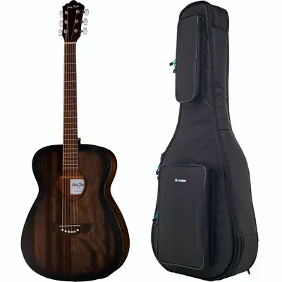 Harley Benton Delta Blues OE Set 1
