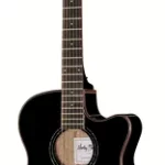 Guitare acoustique Harley Benton EAX-500TL Black | Test, Avis & Comparatif