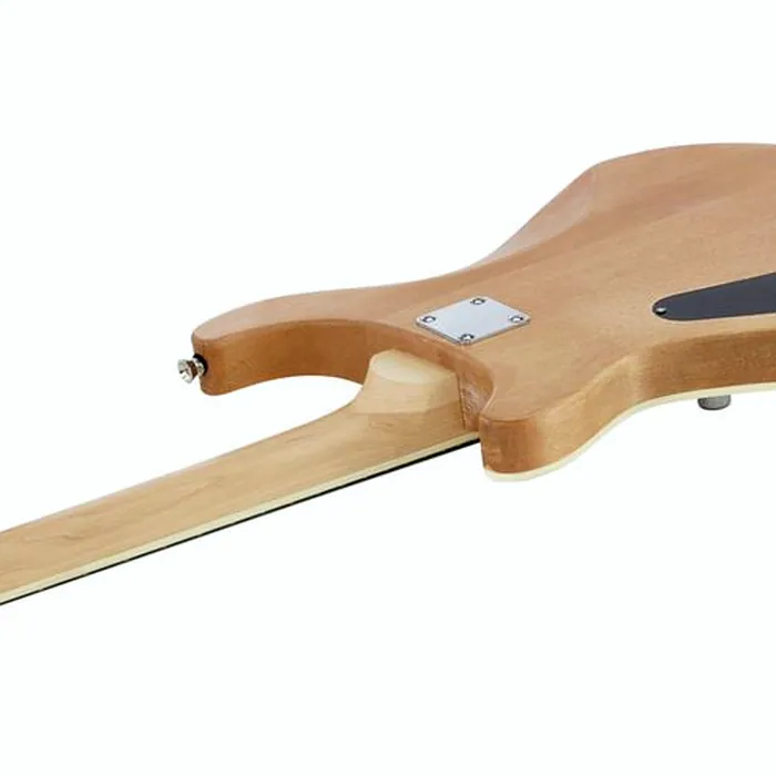 Harley Benton Electric Guitar Kit CST-24 – photo 6
