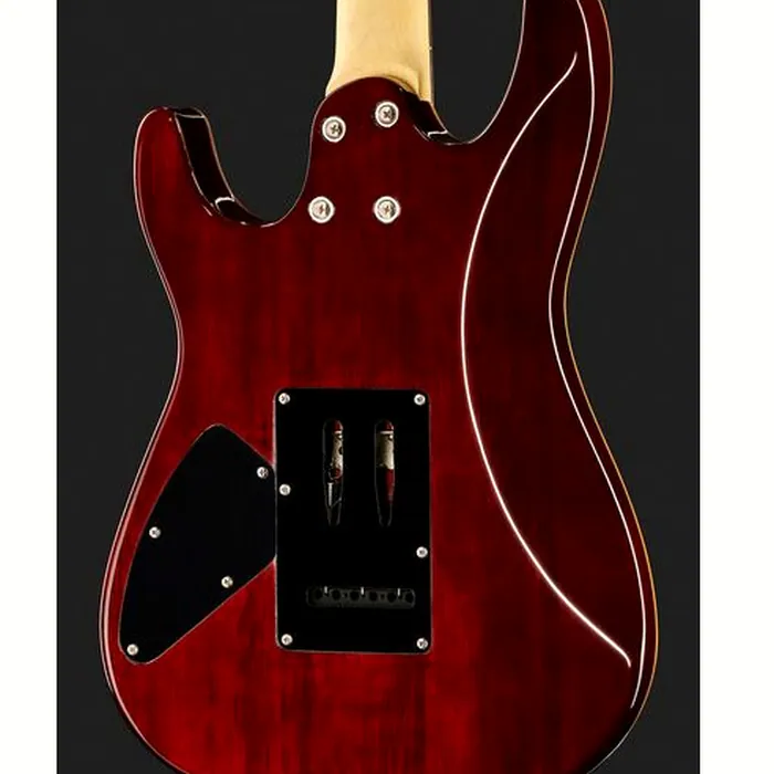 Harley Benton Fusion-III HH EB OCT – photo 7