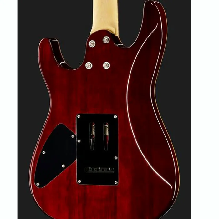 Harley Benton Fusion-III HH EB OCT Bundle – photo 7