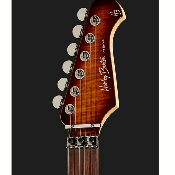 Harley Benton Fusion-III HH FR EB FBB – photo 8