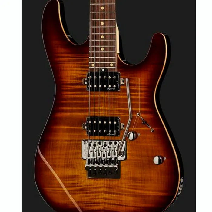 Harley Benton Fusion-III HH FR EB FBB – photo 6