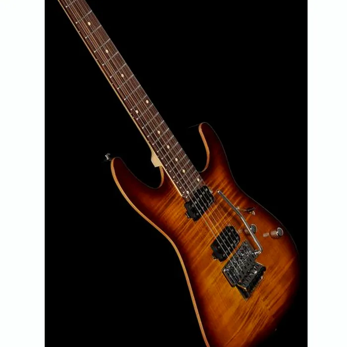 Harley Benton Fusion-III HH FR EB FBB – photo 12