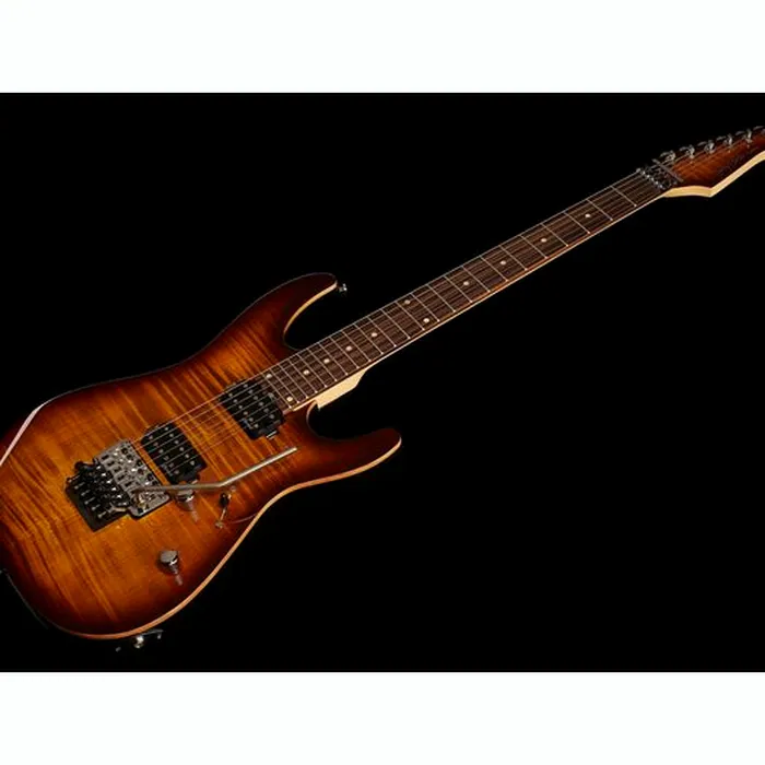 Harley Benton Fusion-III HH FR EB FBB w/Bag – photo 11