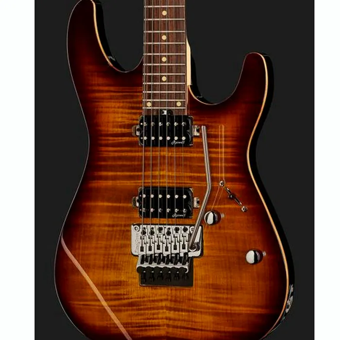 Harley Benton Fusion-III HH FR EB FBB w/Bag – photo 6