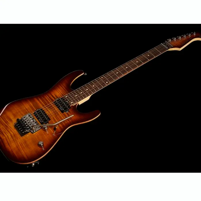 Harley Benton Fusion-III HH FR EB FBB w/Case – photo 11