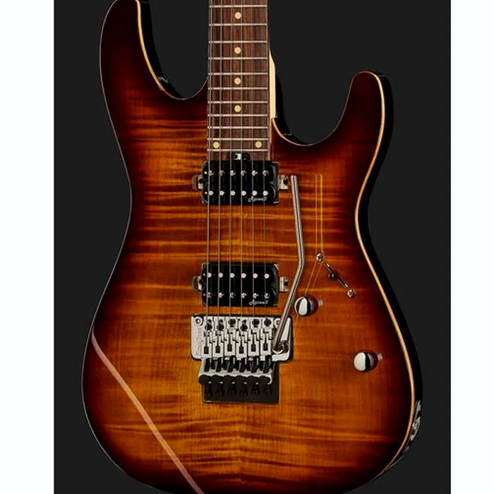 Harley Benton Fusion-III HH FR EB FBB w/Case – photo 6