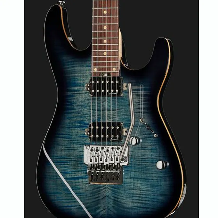 Harley Benton Fusion-III HH FR EB FBLB – photo 6