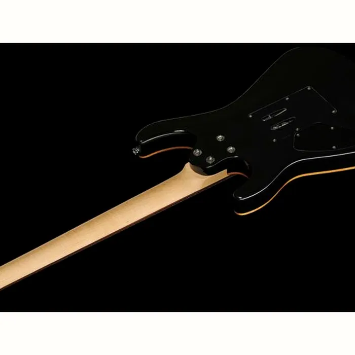 Harley Benton Fusion-III HH FR EB FBLB – photo 11