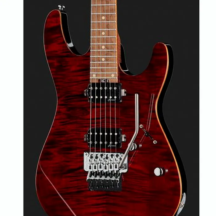 Harley Benton Fusion-III HH FR Roast. w/Case – photo 6