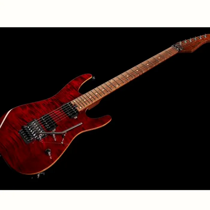 Harley Benton Fusion-III HH FR Roast. w/Case – photo 11