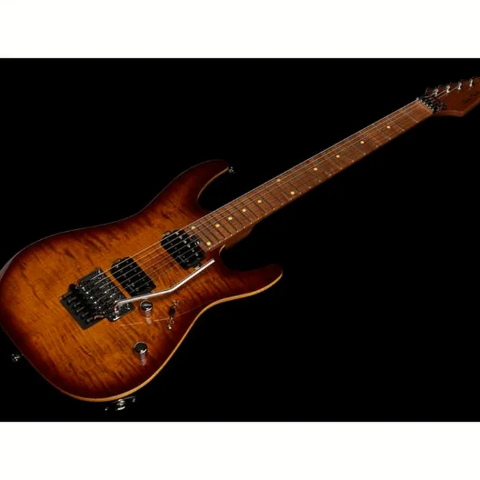 Harley Benton Fusion-III HH FR Roasted FBB – photo 11
