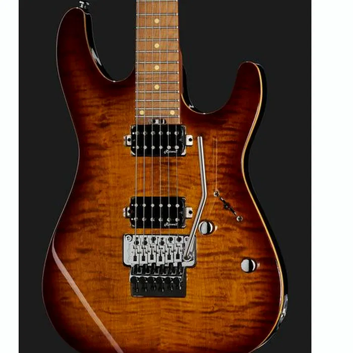 Harley Benton Fusion-III HH FR Roasted FBB – photo 6