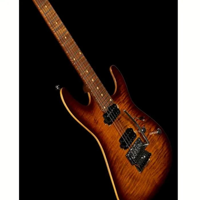 Harley Benton Fusion-III HH FR Roasted FBB – photo 12