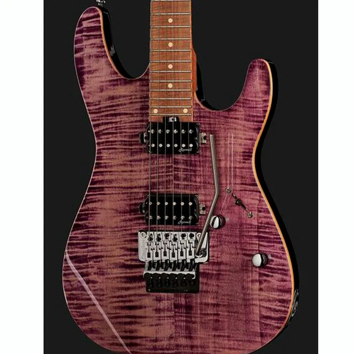 Harley Benton Fusion-III HH FR Roasted FPU – photo 6