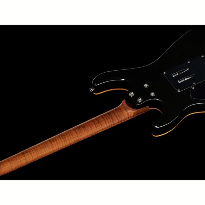 Harley Benton Fusion-III HH FR Roasted FPU – photo 10