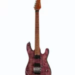 Harley Benton Fusion-III HH FR Roasted FPU (Guitare électrique) : Test, Avis, Comparatif