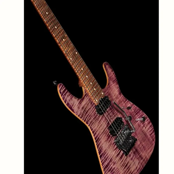 Harley Benton Fusion-III HH FR Roasted FPU – photo 12