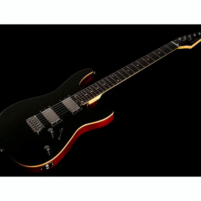 Harley Benton Fusion-III HH HT EB BK – photo 11