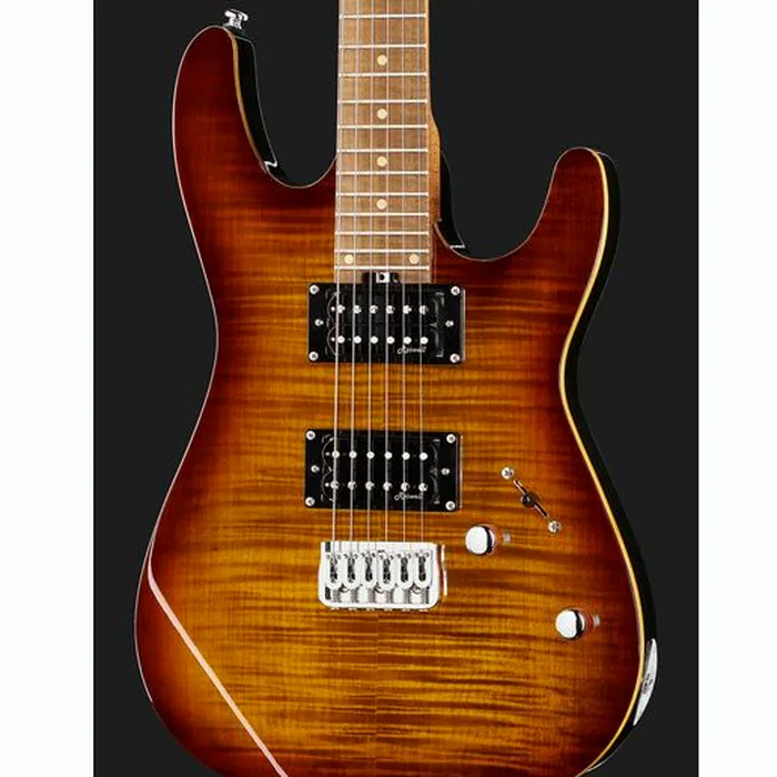 Harley Benton Fusion-III HH HT Roasted FBB – photo 6