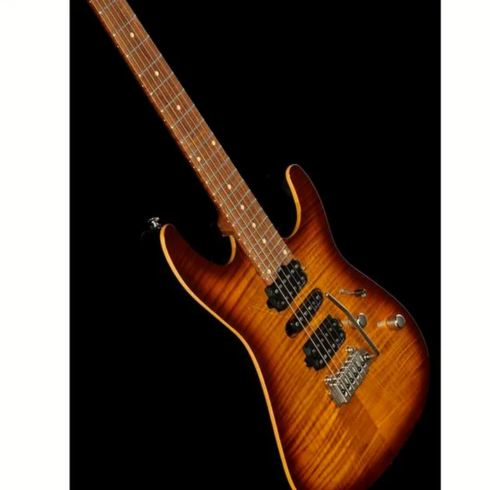 Harley Benton Fusion-III HSH Roasted FBB – photo 12