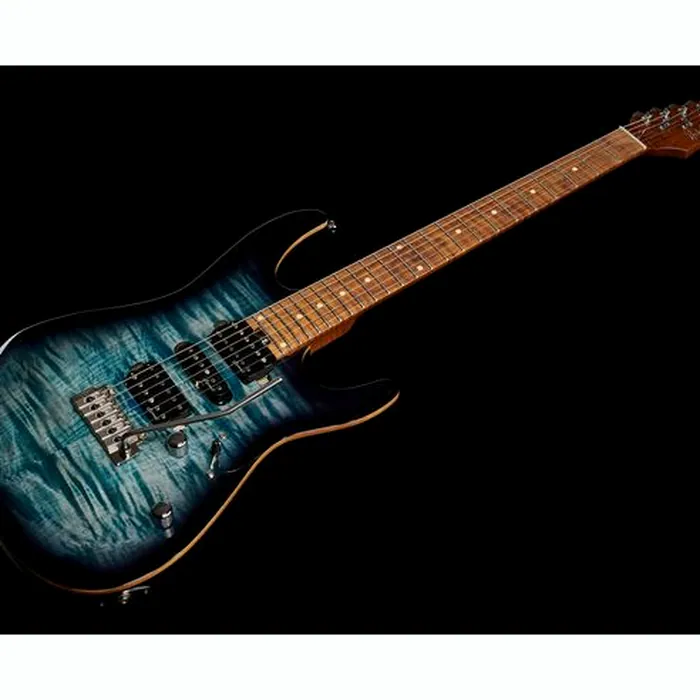 Harley Benton Fusion-III HSH Roasted FBLB – photo 11