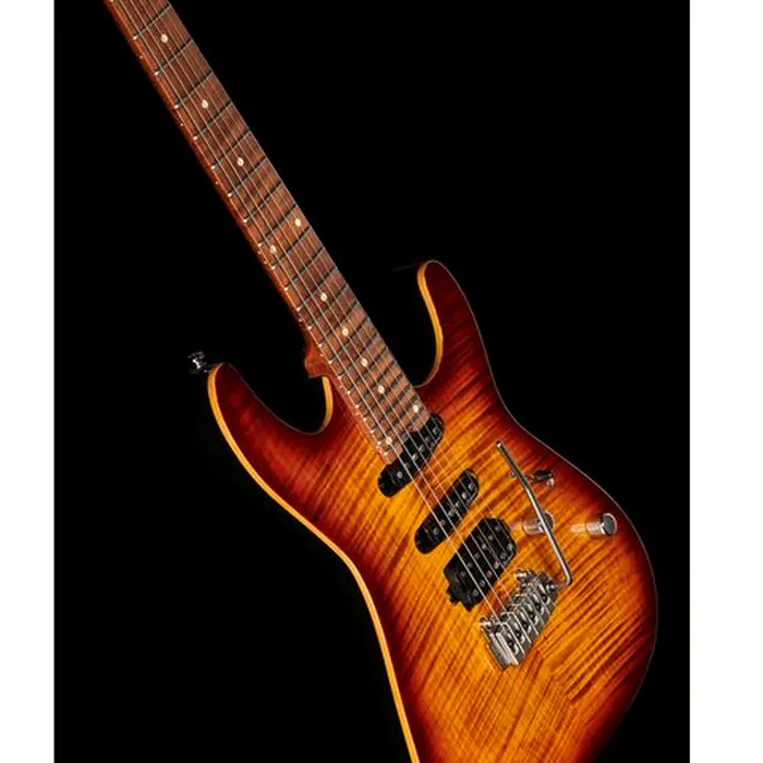 Harley Benton Fusion-III HSS Roasted FBB – photo 12