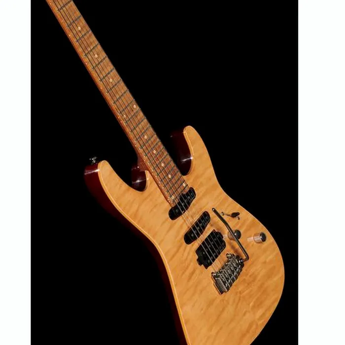 Harley Benton Fusion-III HSS Roasted FNT – photo 12