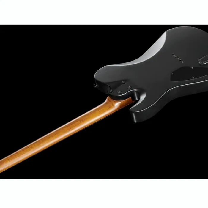 Harley Benton Fusion-T EMG HT Roasted SBK – photo 10