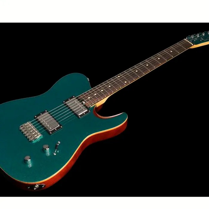 Harley Benton Fusion-T HH HT EB OCT w/Case – photo 11