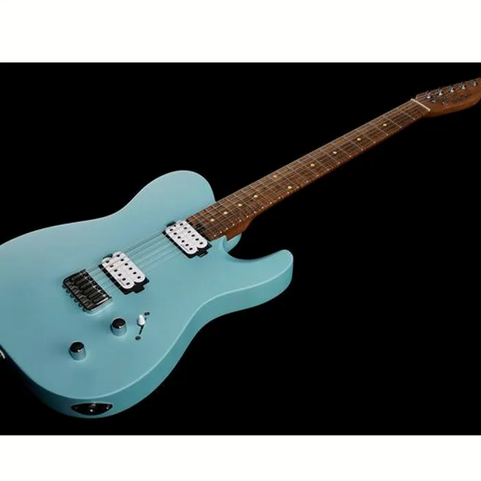 Harley Benton Fusion-T HH HT Roasted DB – photo 11