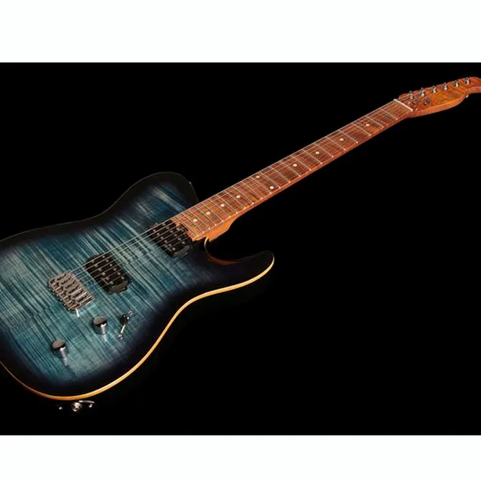 Harley Benton Fusion-T HH HT Roasted FBLB – photo 11