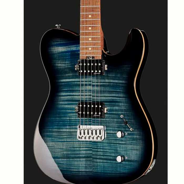 Harley Benton Fusion-T HH HT Roasted FBLB – photo 6