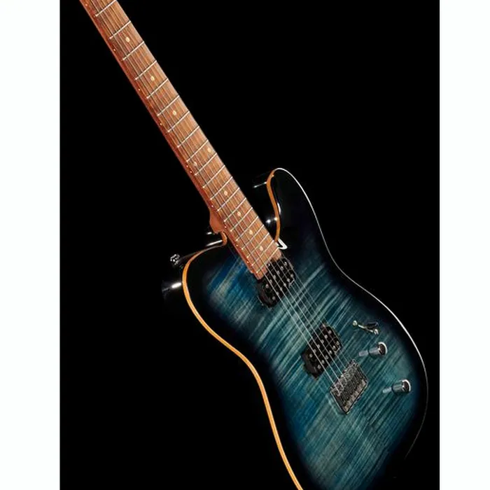 Harley Benton Fusion-T HH HT Roasted FBLB – photo 12