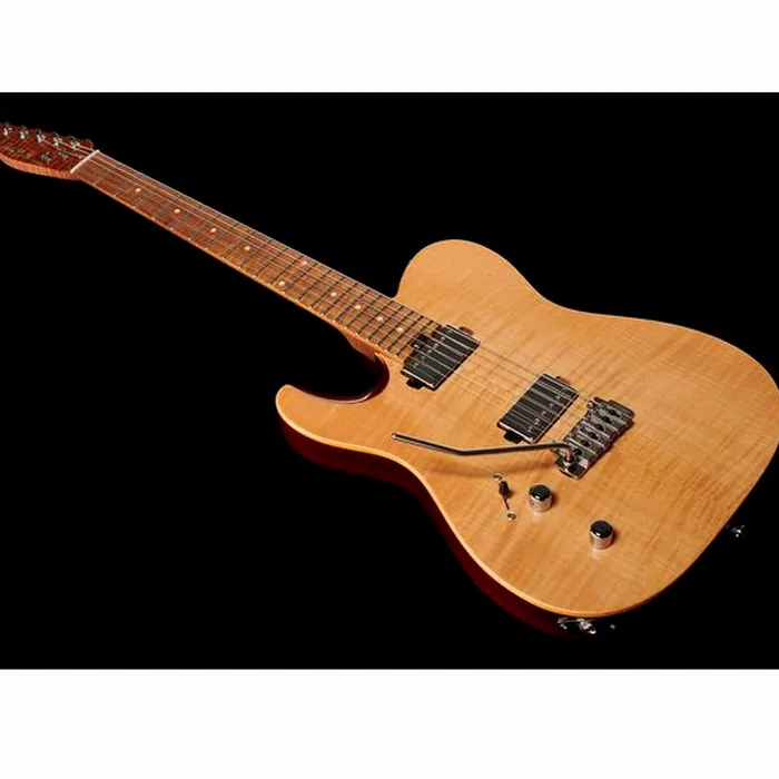 Harley Benton Fusion-T HH LH Roasted Bundle – photo 7